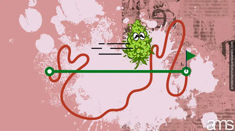 History of eating cannabis