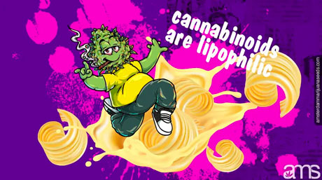 lipophilic cannabinoids