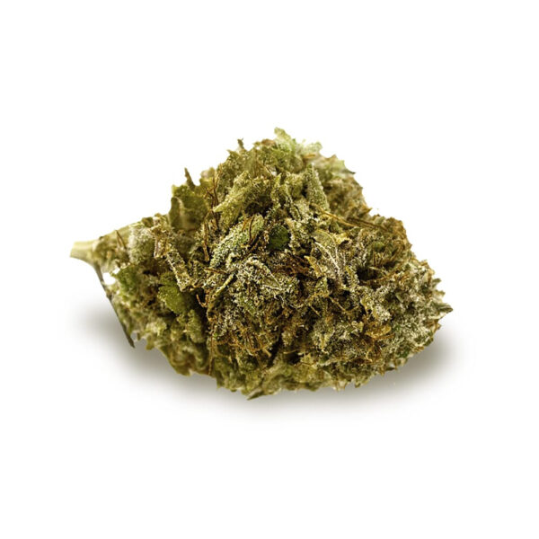 Cappuccino 420 Feminized Seeds - Image 2