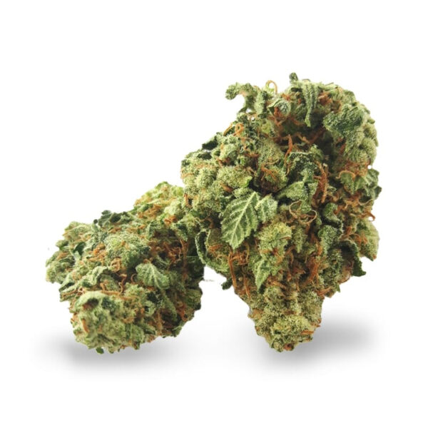 Super Silver Haze Regular Seeds - Image 2