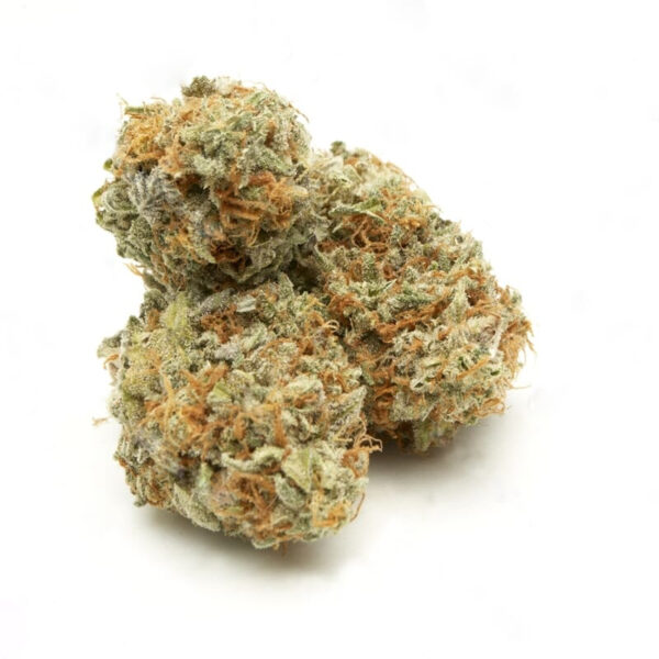 Amnesia Trance Feminized Seeds - Image 2