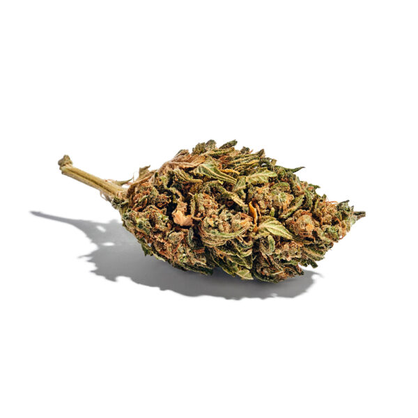 Gushers Feminized Seeds - Image 2