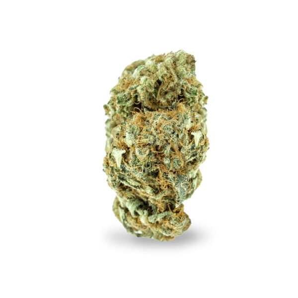 Supernova Regular Seeds - Image 2