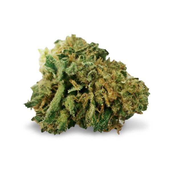 Mangolicious ® Autoflower seeds - Image 2