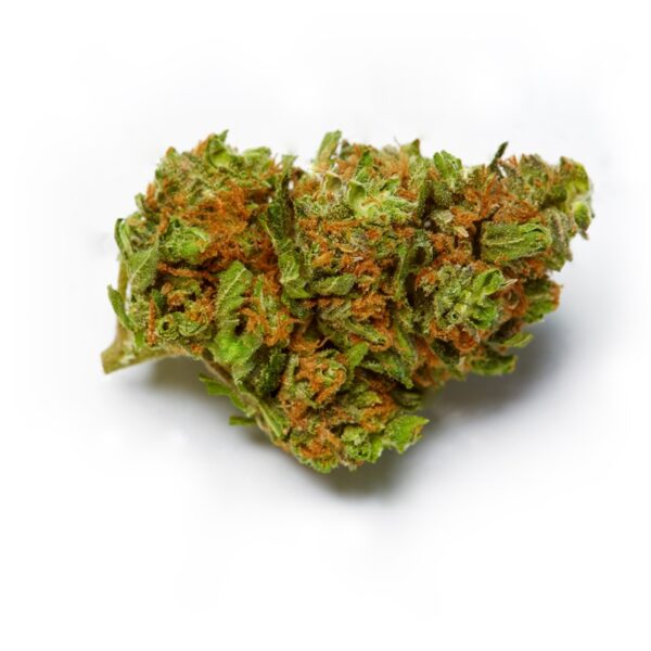Big Black Indica Feminized Seeds - Image 2