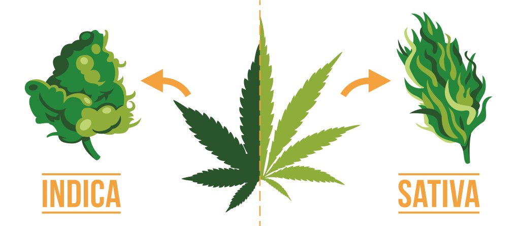 Chart showing Indica vs Sativa effects – relaxation vs stimulation, medical uses comparison