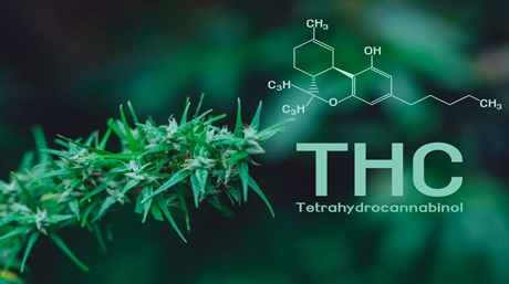 Tetrahydrocannabinol