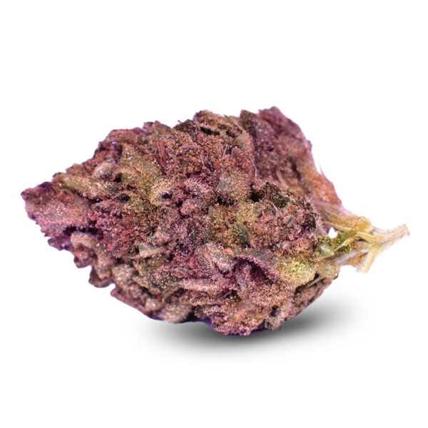 Blueberry Muffin Feminized Seeds - Image 2
