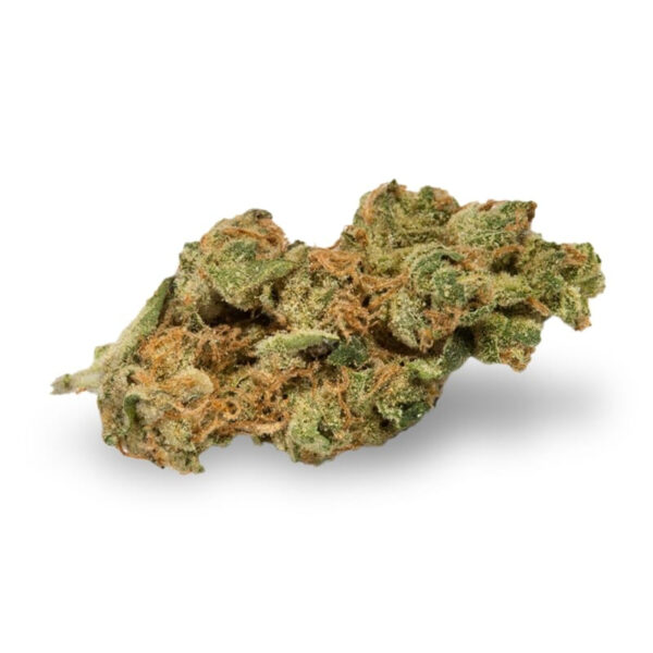 New York Turbo Diesel Autoflower Seeds - Image 2