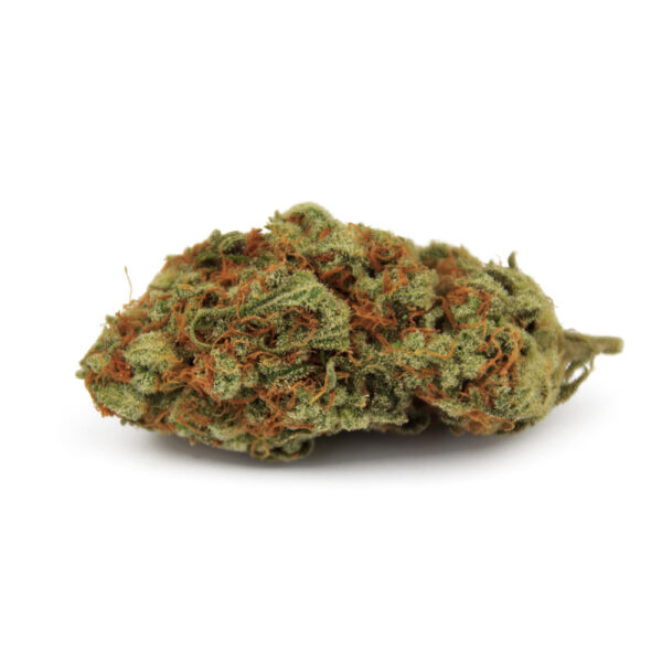 Gorilla Glue Feminized Seeds - Image 2