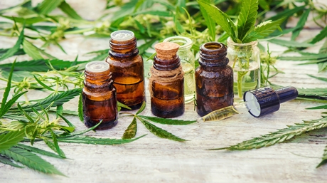 cannabis tinctures