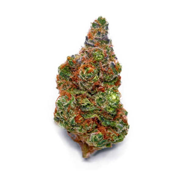 Love Canna ® Regular seeds - Image 2