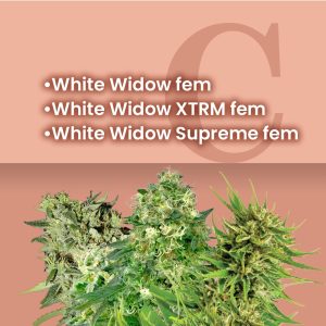 white_widow_combo_pack_3.jpg