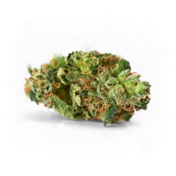 AK 47 XTRM ® Regular Seeds - Image 2